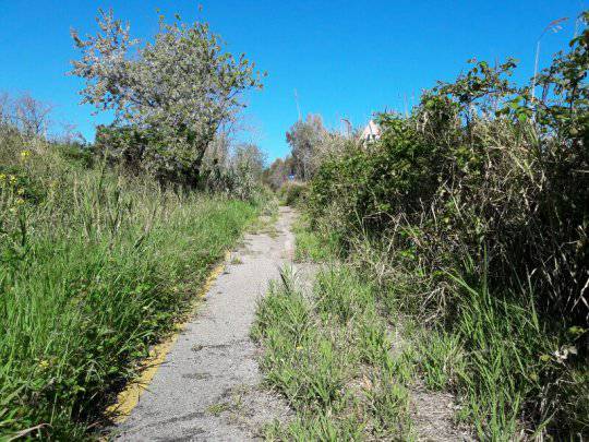 Pista ciclabile come l’Amazzonia