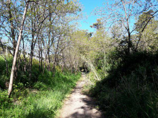 Pista ciclabile come l’Amazzonia