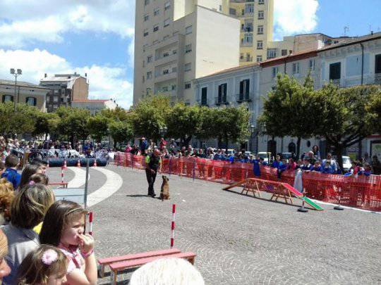 ’Un cane per amico’: le foto della manifestazione