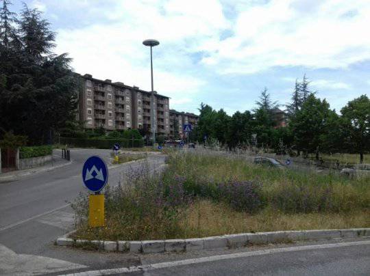 Erbacce e buche nella città ’sgarrupata’