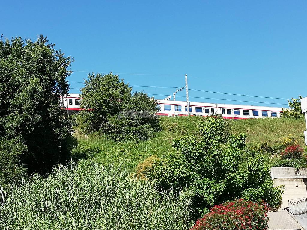 Linea ferroviaria invasa da erbacce 1