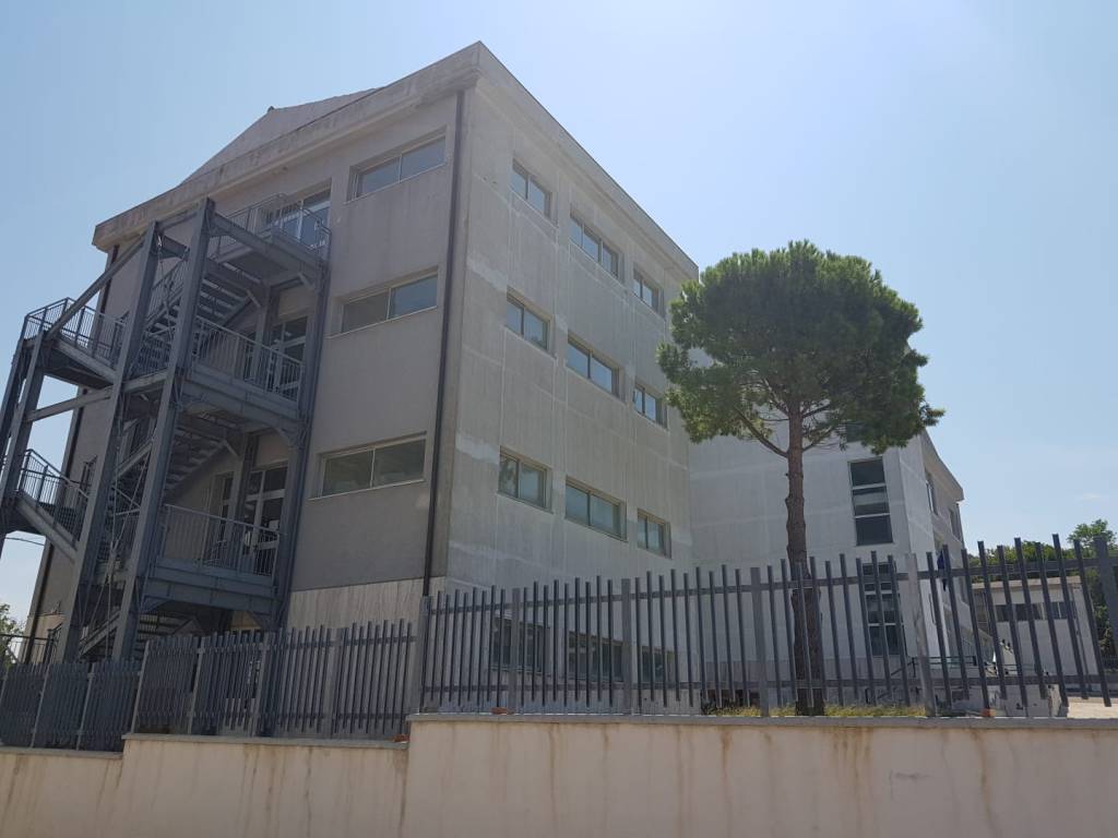 istituto pedagogico guglionesi