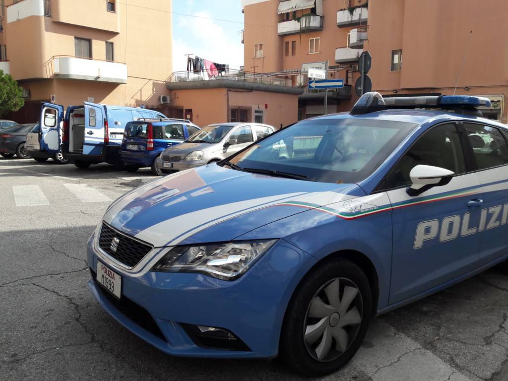 cani-antidroga-polizia-138166