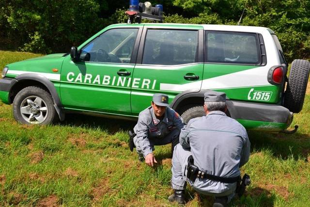 Carabinieri Forestali di Isernia