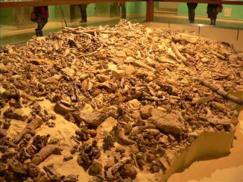 Museo Paleolitico di Isernia