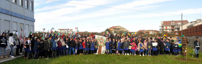 Festa albero Campomarino