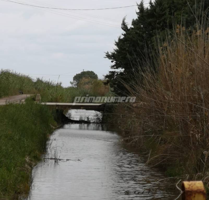 maltempo-rio-vivo-canali-pieni-140537