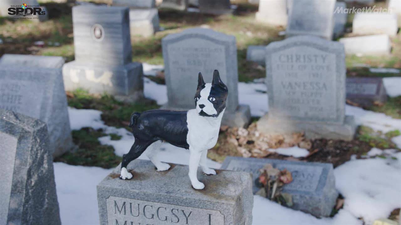 cimitero animali 