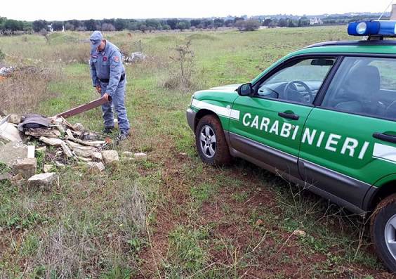 carabinieri e carabinieri forestali