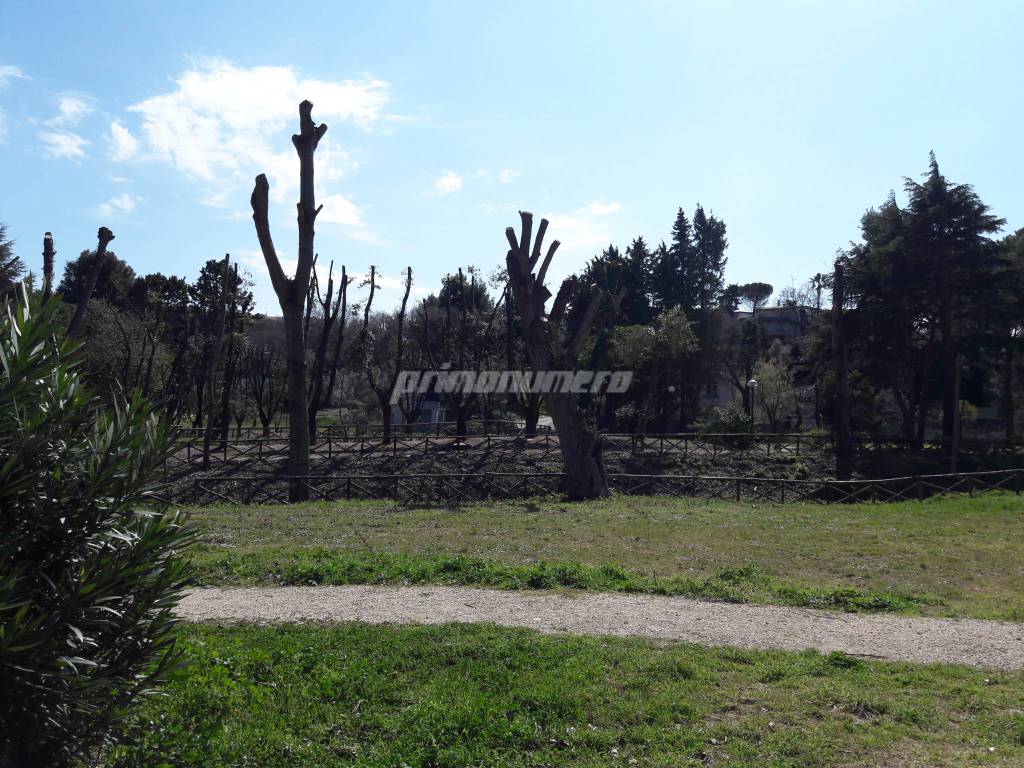 Parco comunale Termoli