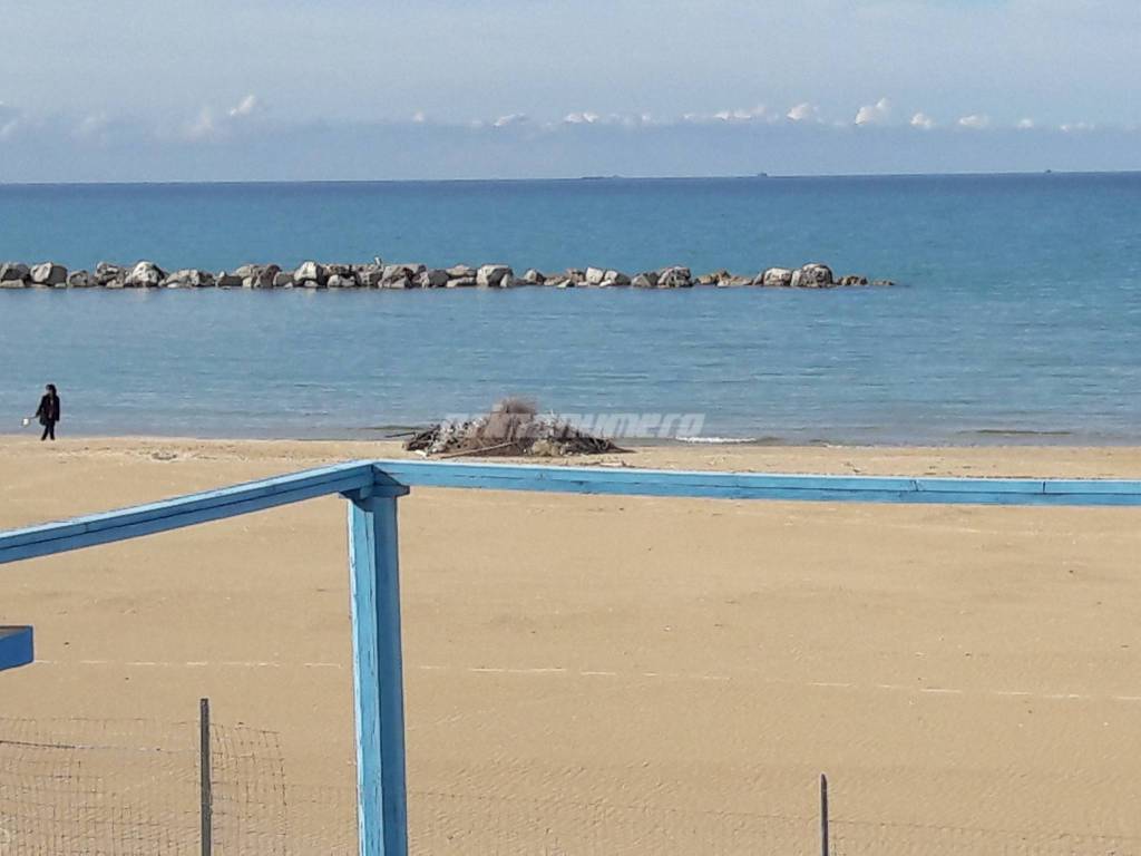 Pulizia spiagge 11 aprile 19