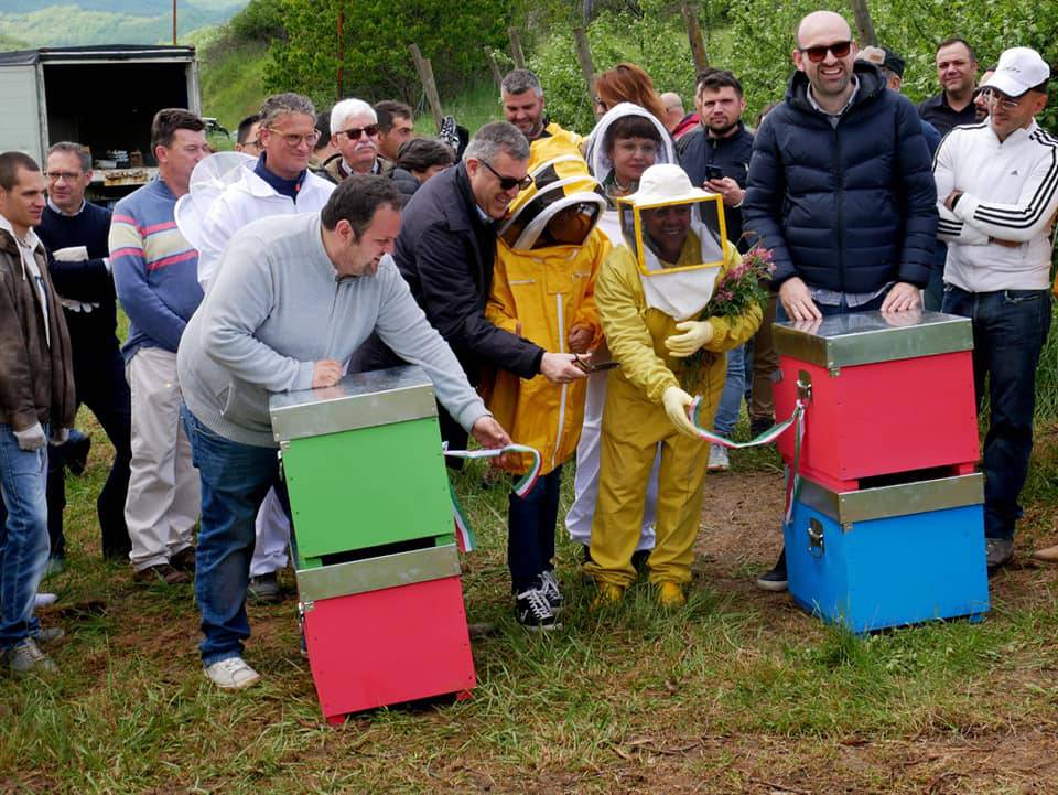 apiario di comunità