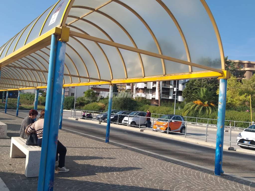 terminal bus termoli