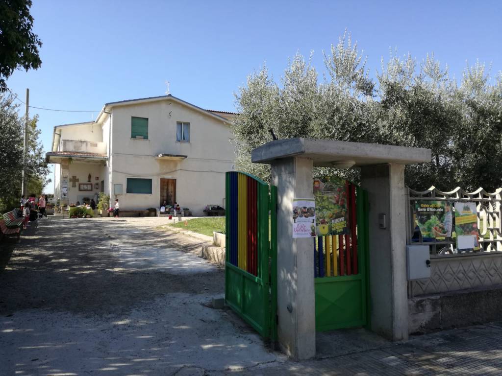 scuola infanzia nuova cliternia