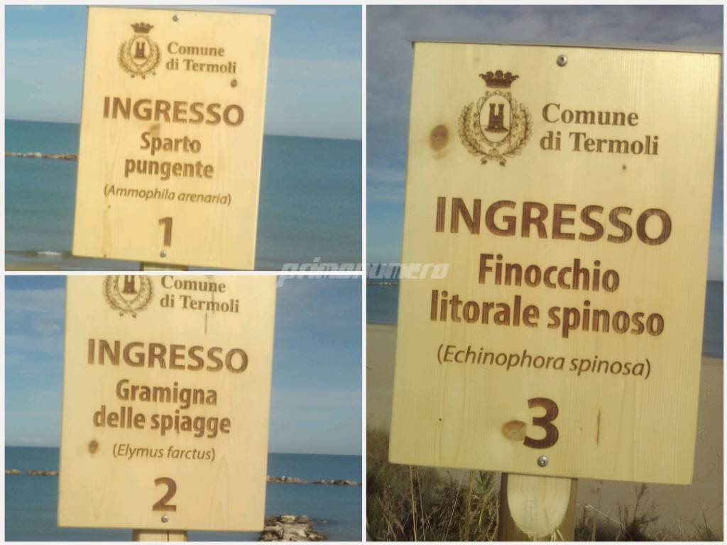 Accessi al mare lungomare nord