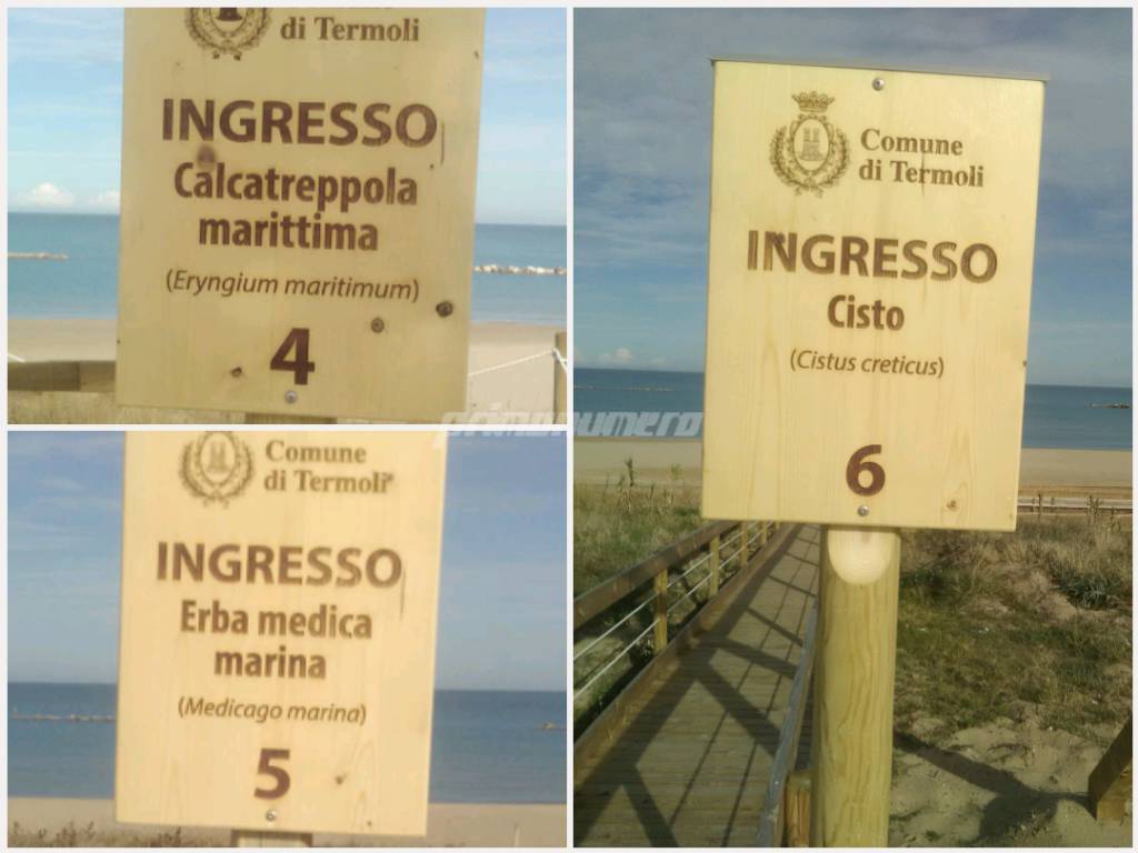 Accessi al mare lungomare nord