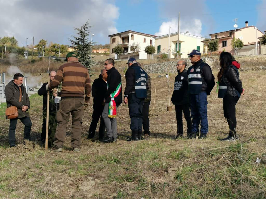 alberi-per-san-giuliano-163682