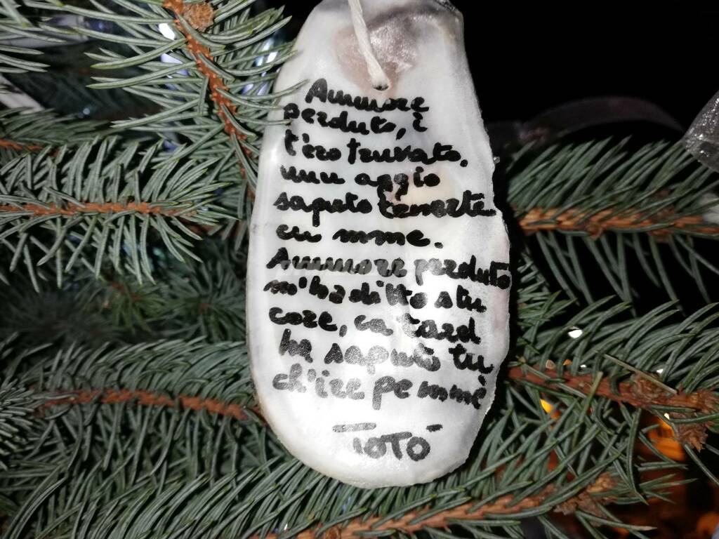 Albero natale, gusci ostriche, frasi, 