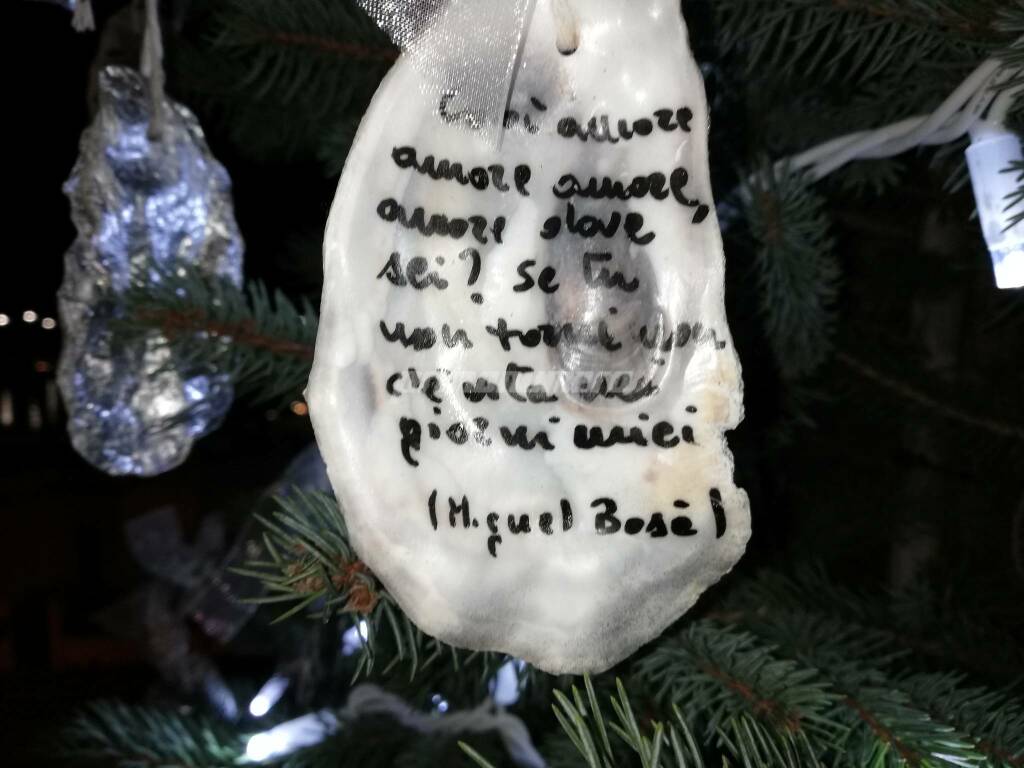 Albero natale, gusci ostriche, frasi, 