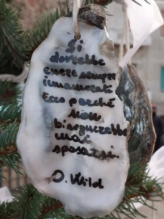 Albero natale, gusci ostriche, frasi, 