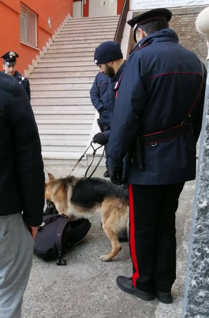 carabinieri con cani montenero