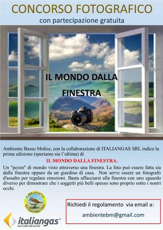 il mondo dalla finestra concorso