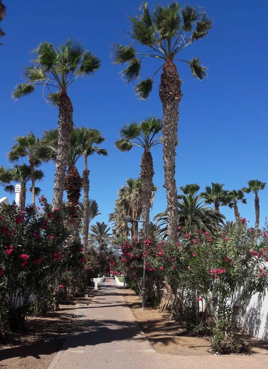 tenerife quarantena