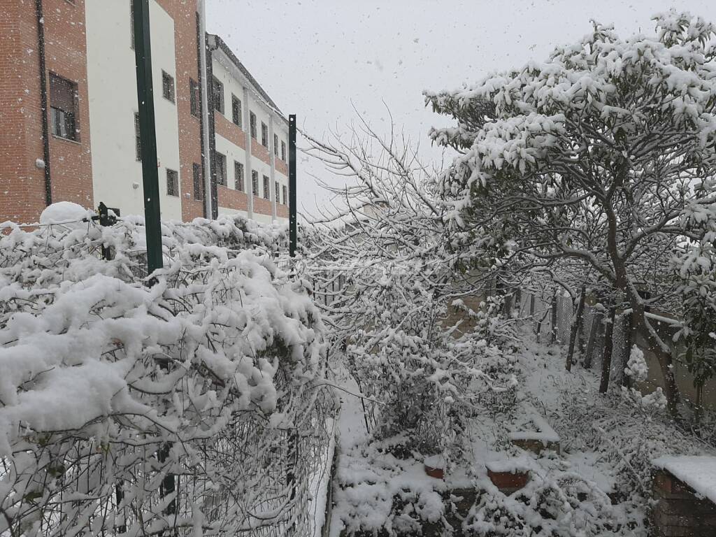 Neve 24 marzo 2020 Campodipietra