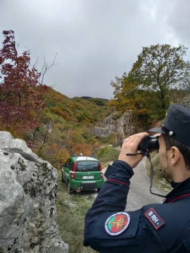 carabinieri forestali