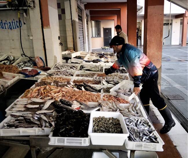 Mercato del pesce Termoli