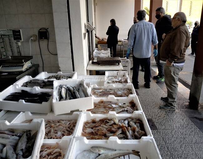 Mercato del pesce Termoli