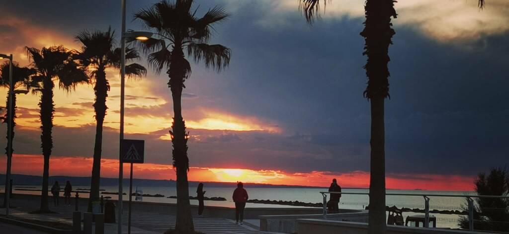 Lungomare termoli tramonto speranza palme 