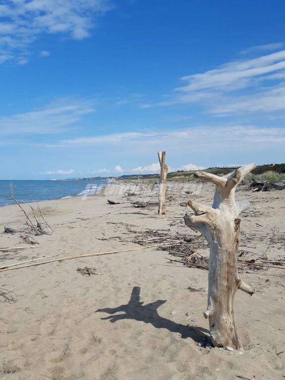 Spiaggia libera Petacciato