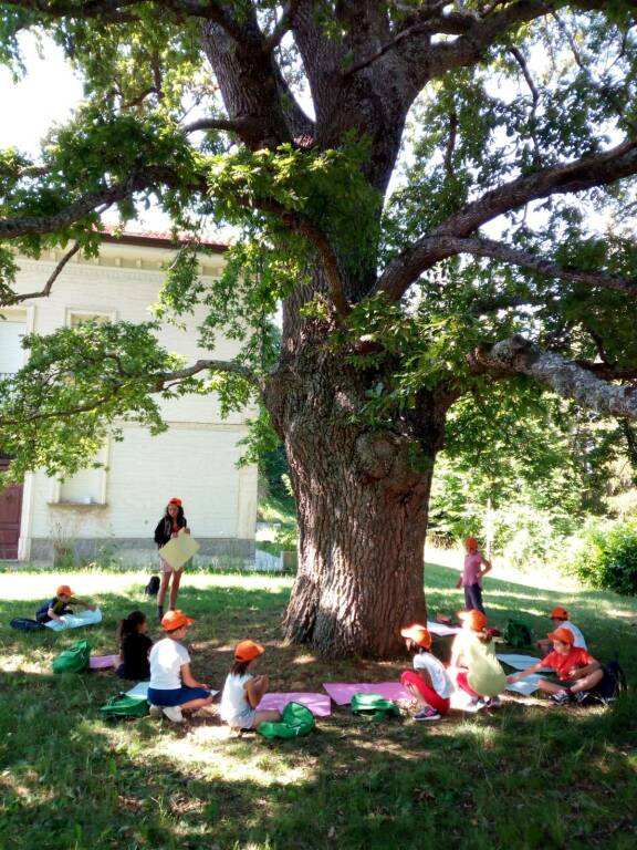 scuola nel bosco castel del giudice