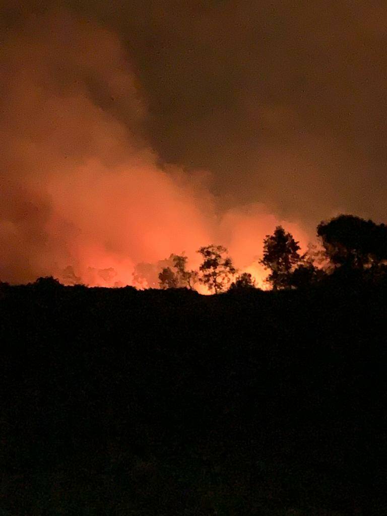 Incendio bosco fantine Campomarino 
