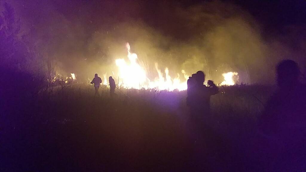 Incendio bosco fantine protezione civile Campomarino 