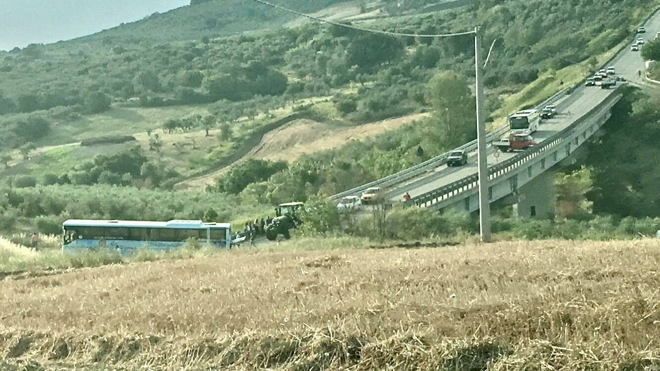 incidente mortale autobus rotello