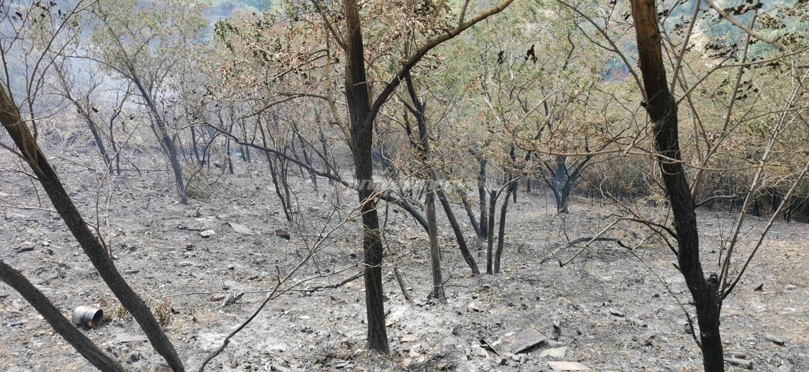 Incendio a Guglionesi