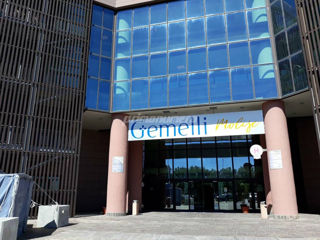 Gemelli Cattolica