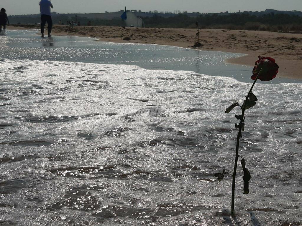 Rose sulla spiaggia a Petacciato