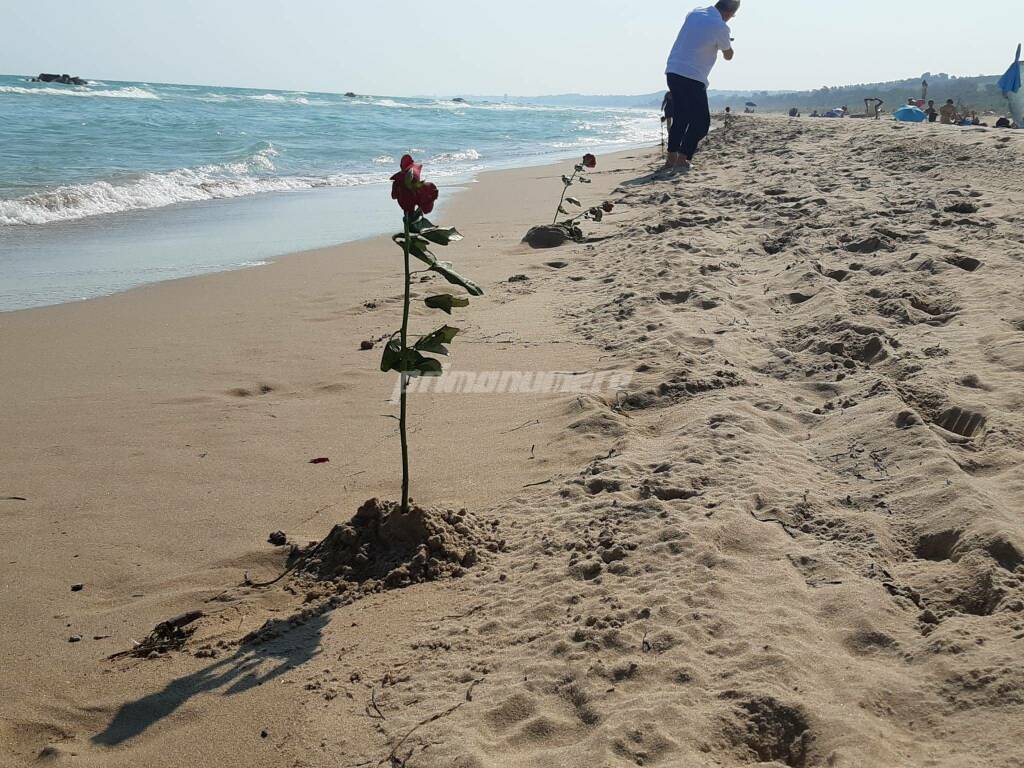 Rose sulla spiaggia a Petacciato