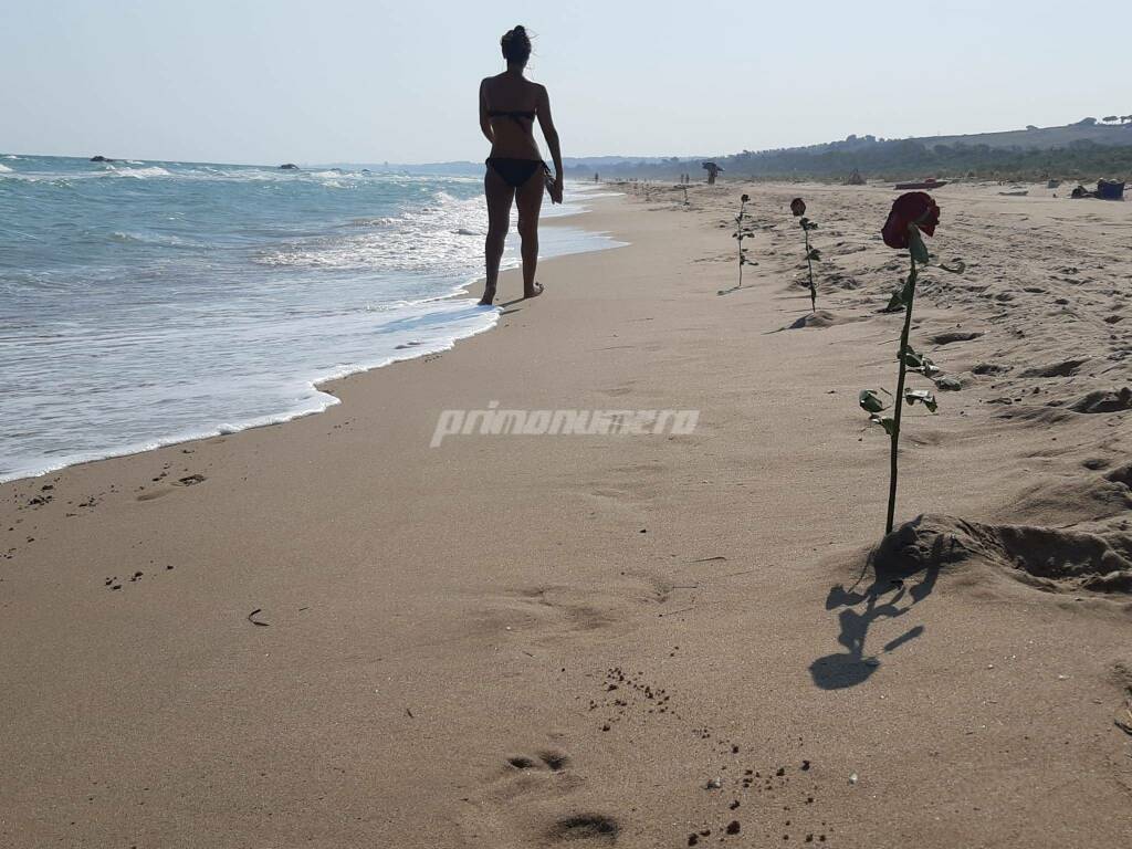 Rose sulla spiaggia a Petacciato