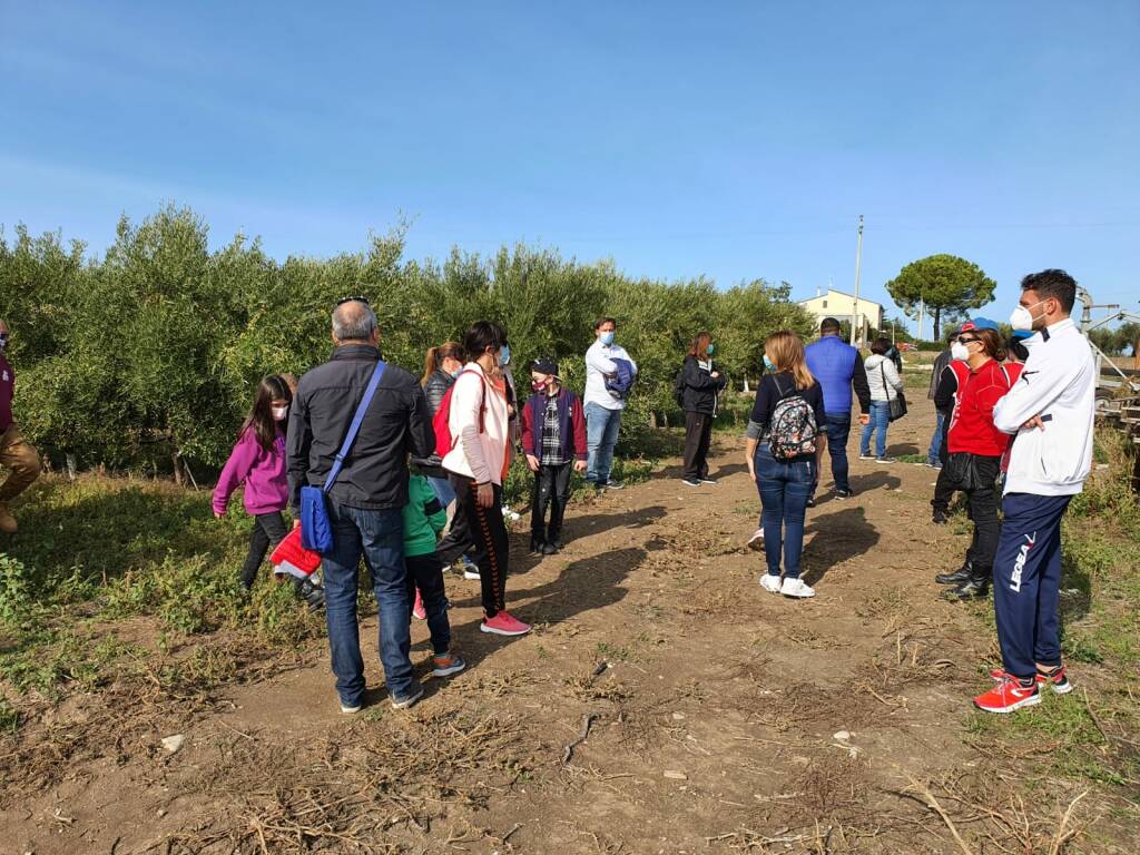 Camminata tra gli ulivi 