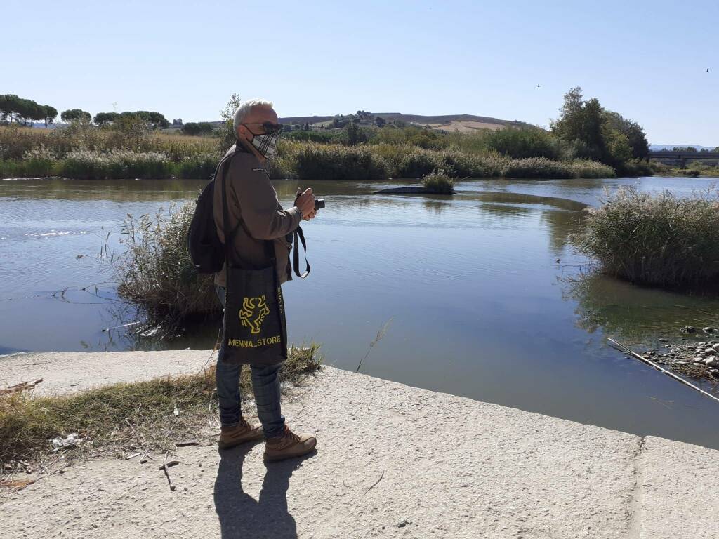 giornata uccelli migratori trigno