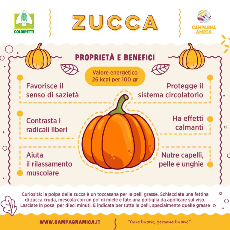 zucca locandina