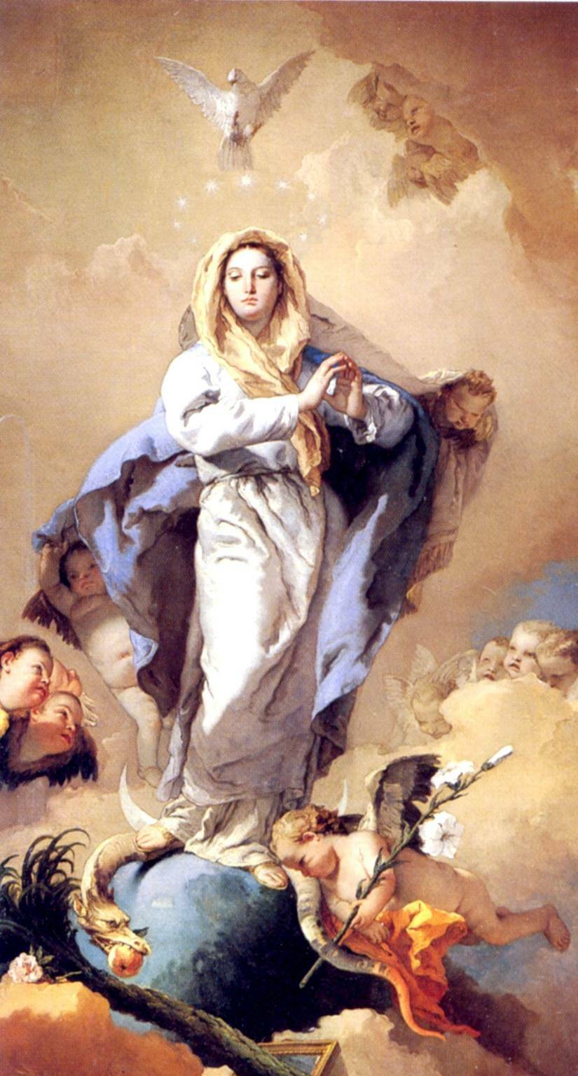 immacolata concezione