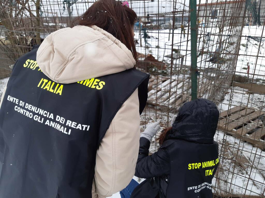animalisti Stop animal crimes canile lager Montenero val Cocchiara