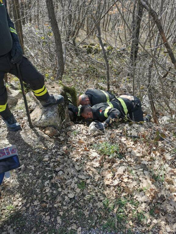 cani salvataggio vigili fuoco bosco