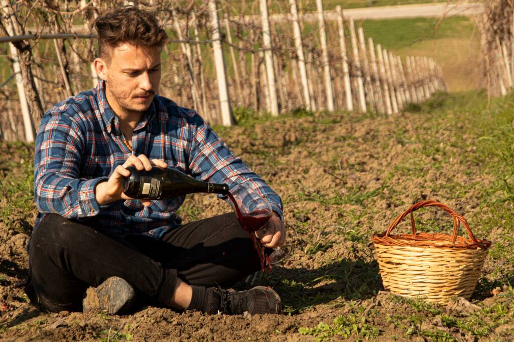 cantina molisana vini riccardo desiderio vigna