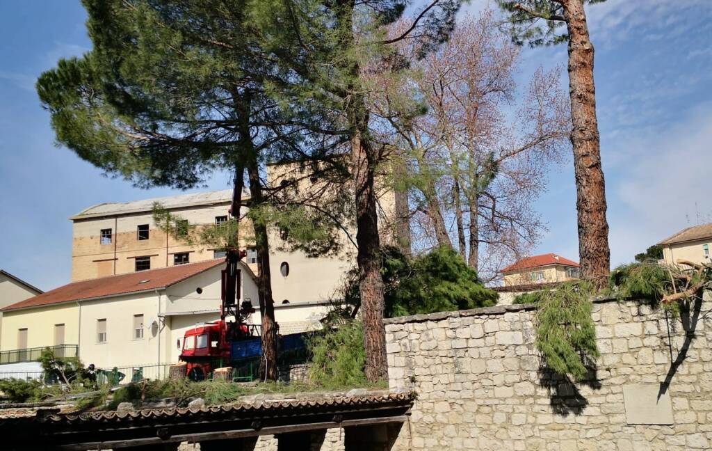 Abbattimento alberi Fontanavecchia